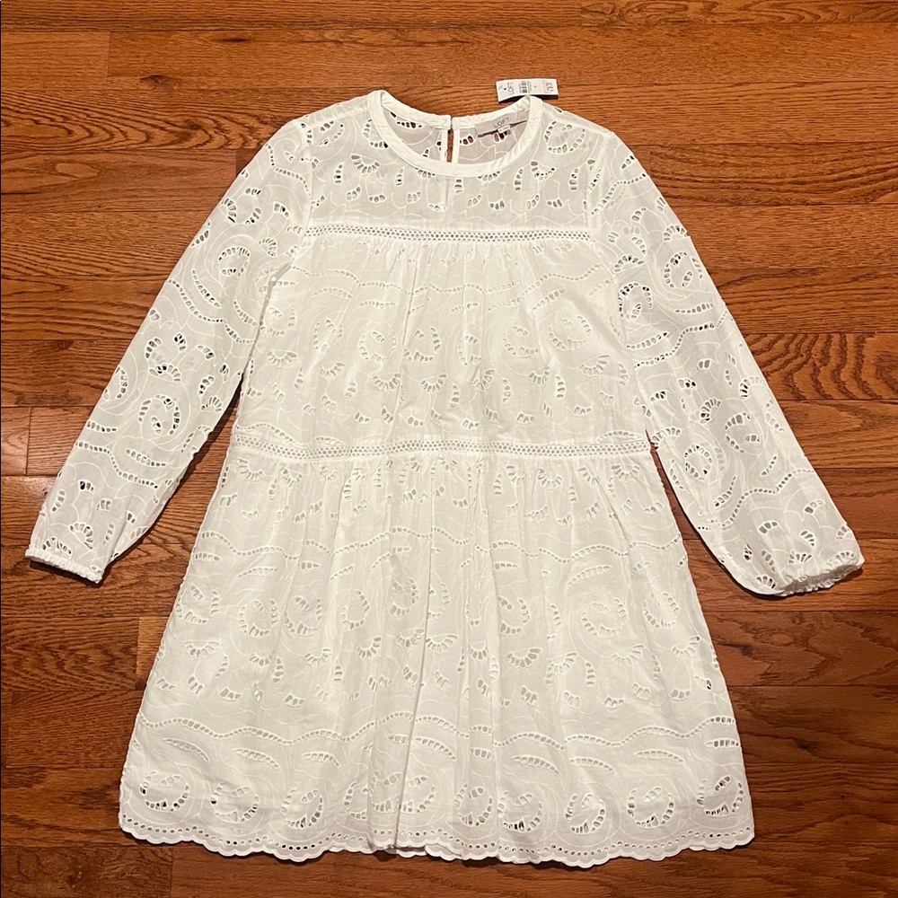 The LOFT White Eyelet Overlay Long Sleeve Short Tiered Swing Dress Women's M NWT